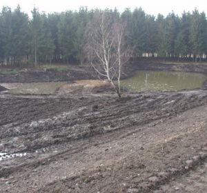Teren rekreacyjny z małą architekturą wraz ze stawem